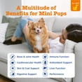 thumbnail image 3 of Zesty Paws 8-in-1 Multivitamin Mini Bites Chicken Flavor Dog Supplement, 90 Count, 3 of 11