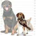 thumbnail image 5 of TUFFY® Desert Vulture, 2-Pack Durable Dog Toys, 5 of 9