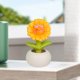 thumbnail image 4 of Plantas artificiales decorativas en macetas pequeñas para oficina, sala de estar o escritorio. Bonsáis de interior. Adornos biónicos de flores y vegetación artificial. Plantas bonsái, 4 of 6