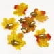thumbnail image 2 of Lorigun - 50 Piezas de bellotas Artificiales de Bellota Dorada con Tapa de Bellota Natural para decoraci&oacute;n del hogar, casa, Cocina, decoraci&oacute;n de Navidad, Mesa de oto Lorigun NA, 2 of 7