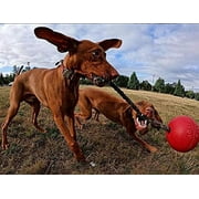 Romp-N-Roll 8-Red
