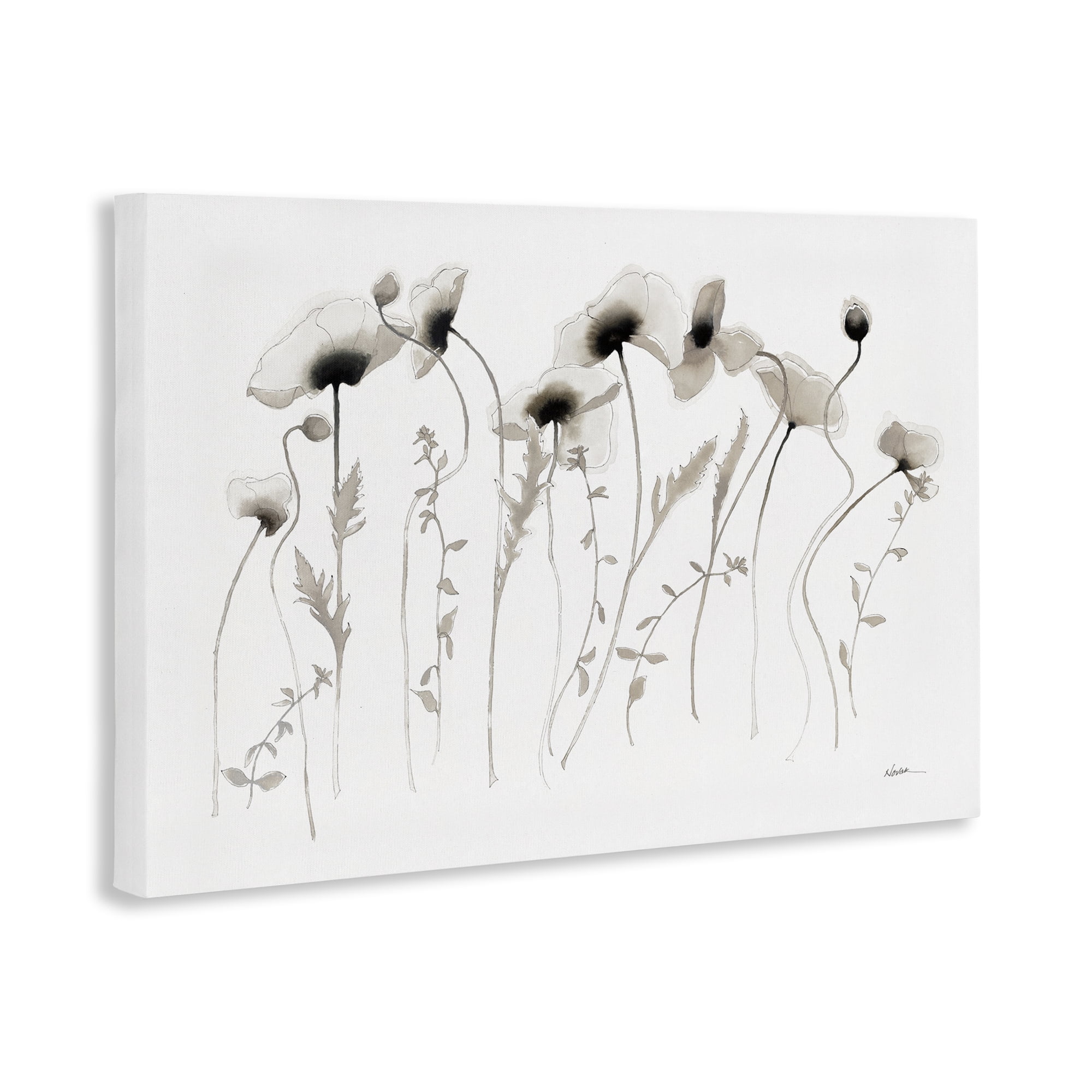 Stupell Industries White Poppy Sprigs Botanical & Floral Painting Gallery Wrapped Canvas Art Print Wall Art, 24 x 16