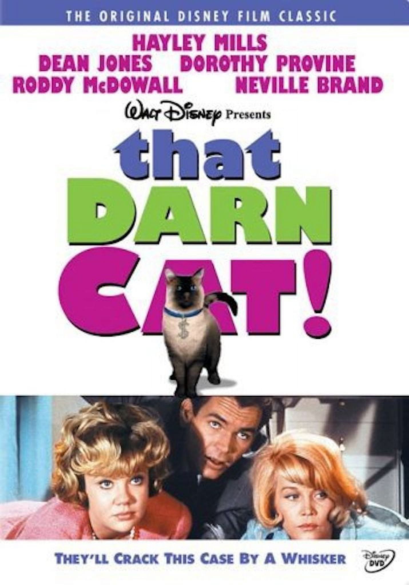 Disney, That Darn Cat!, Family Classic Movie, 1965, DVD, Comedy