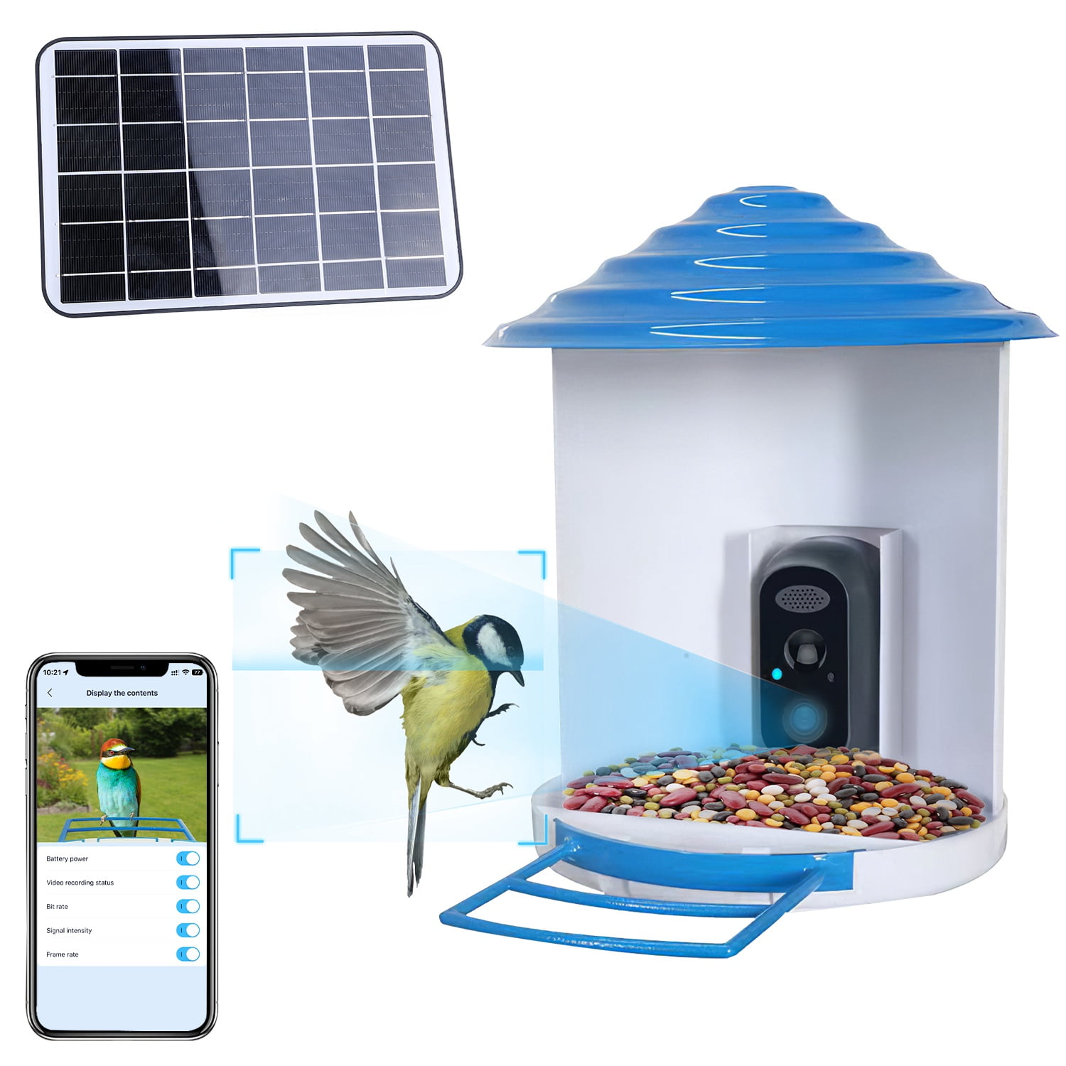 Smart Bird Feeder with Camera Identify 11,000+ Bird Species & 1080P HD Solar-Powered Wireless Outdoor Bird Feeder, App iCam365 & Two-Way Audio for Garden Bird Watching