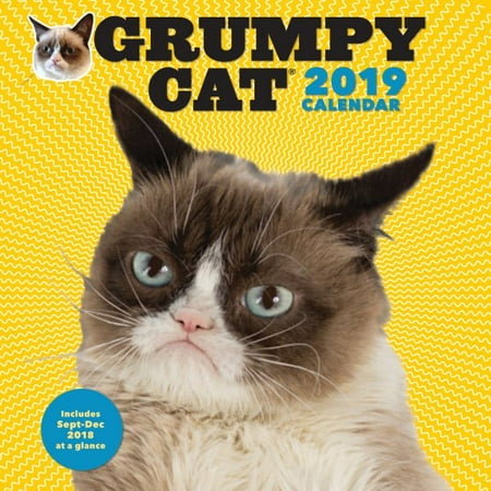 Grumpy Cat 2019 Calendar - Walmart.com
