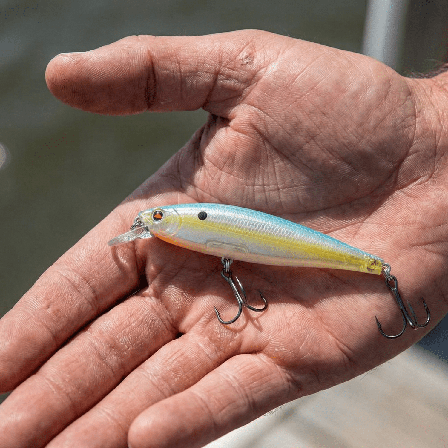 Ozark Trail Jerkbait Fishing Lure for Bass Fishing, Sexy Shad