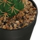 thumbnail image 4 of Planta suculenta de cactus artificial Planta de cactus falsa falsa con maceta Simulación de cactus grande, 4 of 7
