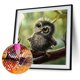 thumbnail image 1 of Cuadros Decorativos Birdie diamante bordado 5D diamante DIY pintura artesanía decoración del hogar Sywqhk Nuevos Originales, 1 of 1