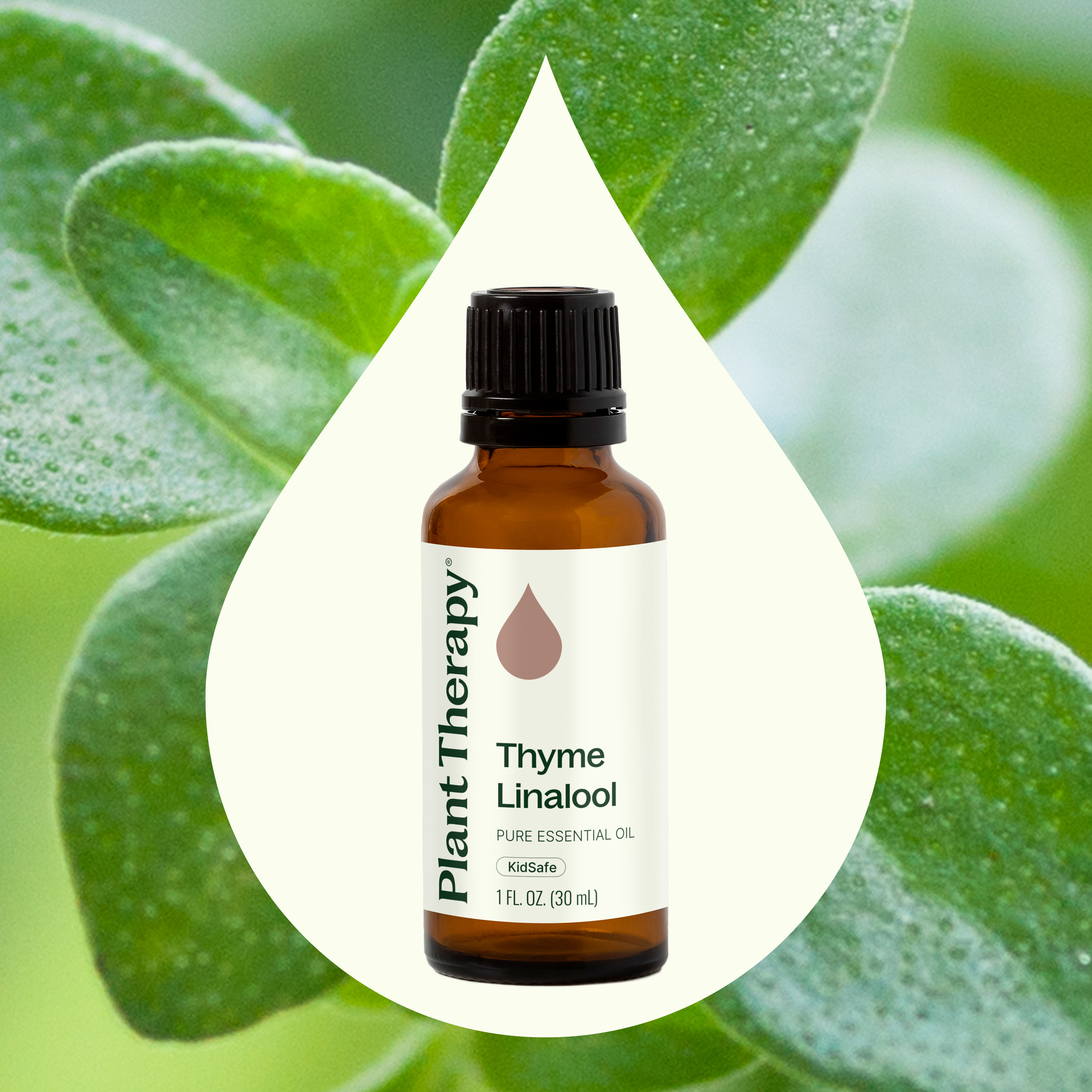 Plant Therapy Thyme Linalool Essential Oil 30 mL (1 oz) 100% Pure, Undiluted, Natural Aromatherapy