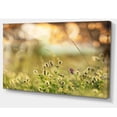 thumbnail image 2 of Petites Fleurs d'Été dans la Prairie - Grande Toile Murale, 2 of 3