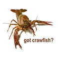 thumbnail image 2 of CafePress - Got Crawfish? Mug - 11 oz Ceramic Mug - Novelty Coffee Tea Cup, 2 of 4