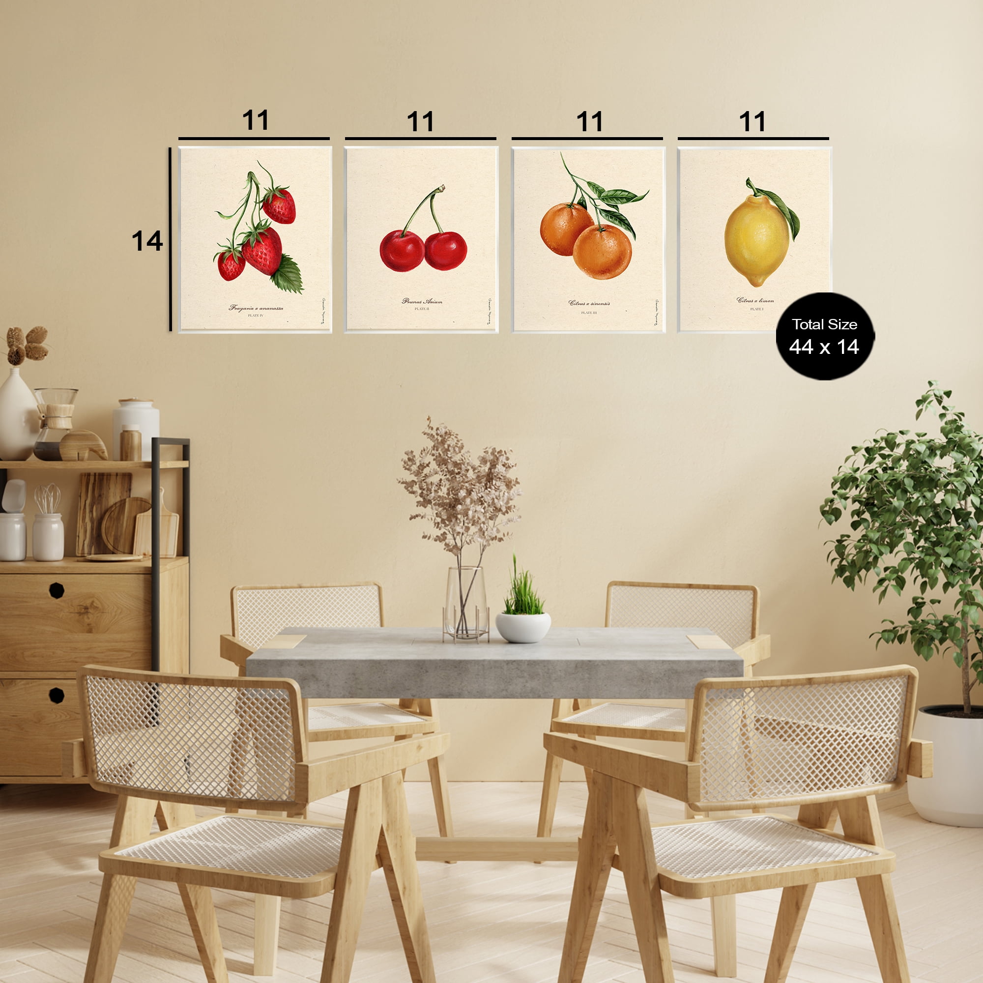 Stupell Industries Vintage Fruit Portraits 4 Piece Wall Plaque Art Set, design by Danielle Murray