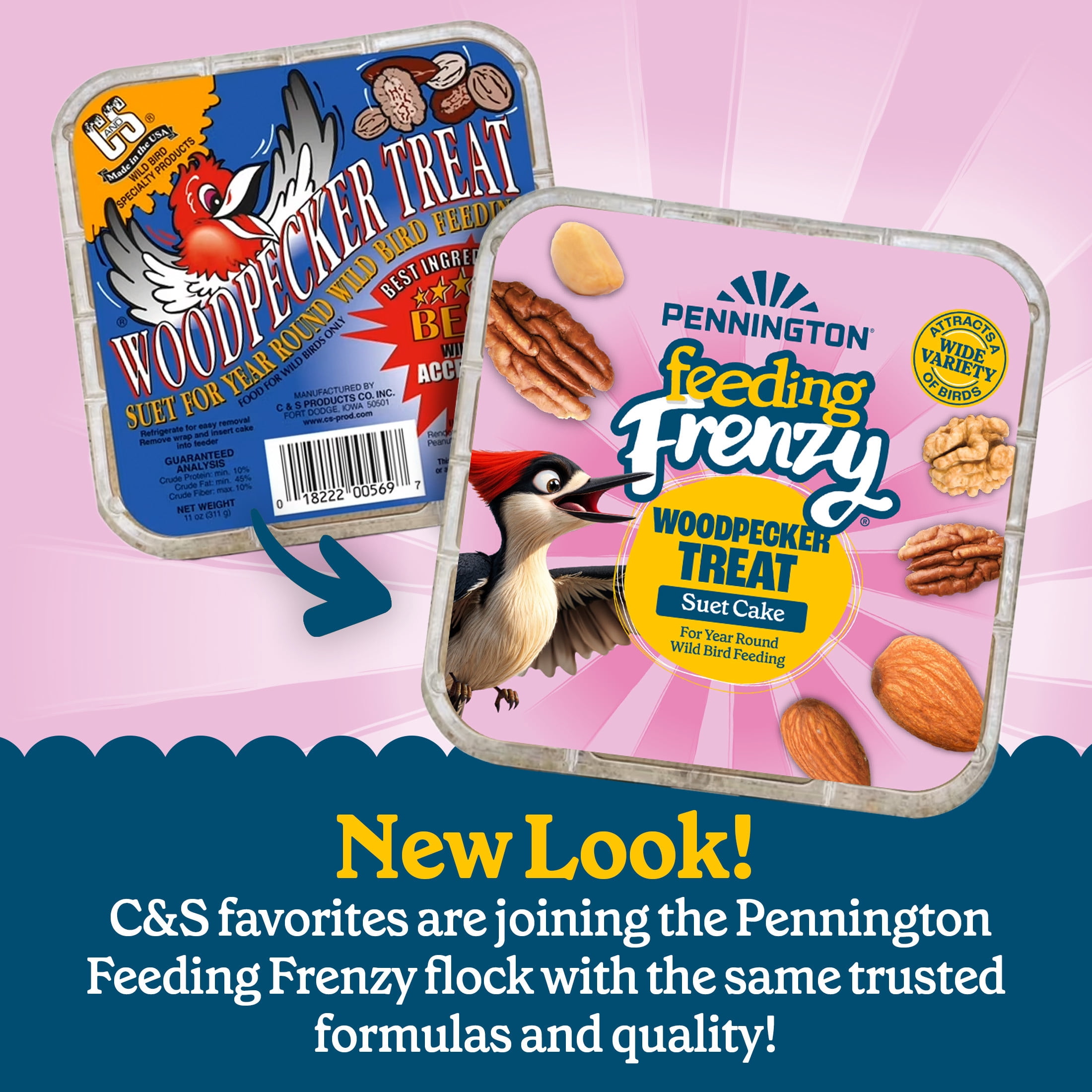 (12 pack) Pennington Feeding Frenzy Woodpecker Suet Treat, 11 oz Cake, Wild Bird Food, 1 Pack, Fresh