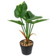 thumbnail image 4 of HOMEMAXS Mini simulación planta en maceta ornamento falso maceta bonsái decoración para el hogar HOMEMAXS 9958515, 4 of 6