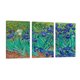 thumbnail image 1 of Cuadro Decorativo Tríptico Vertical Van Gogh Lirios Canvas Revolution Set De 3 Cuadros 30x45 cm, 1 of 5