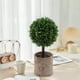 thumbnail image 5 of Plantas artificiales de simulación para el hogar, oficina, vestíbulo de hotel, decoración de plantas verdes, decoración del hogar, plantas artificiales, plantas verdes artificiales, hogar,, 5 of 8