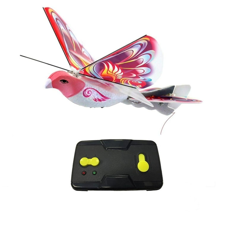 Mukikim ebird cheap