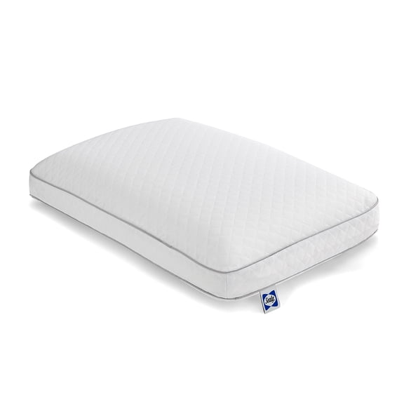 Sealy Essentials Memory Foam Bed Pillow, Standard, Adult