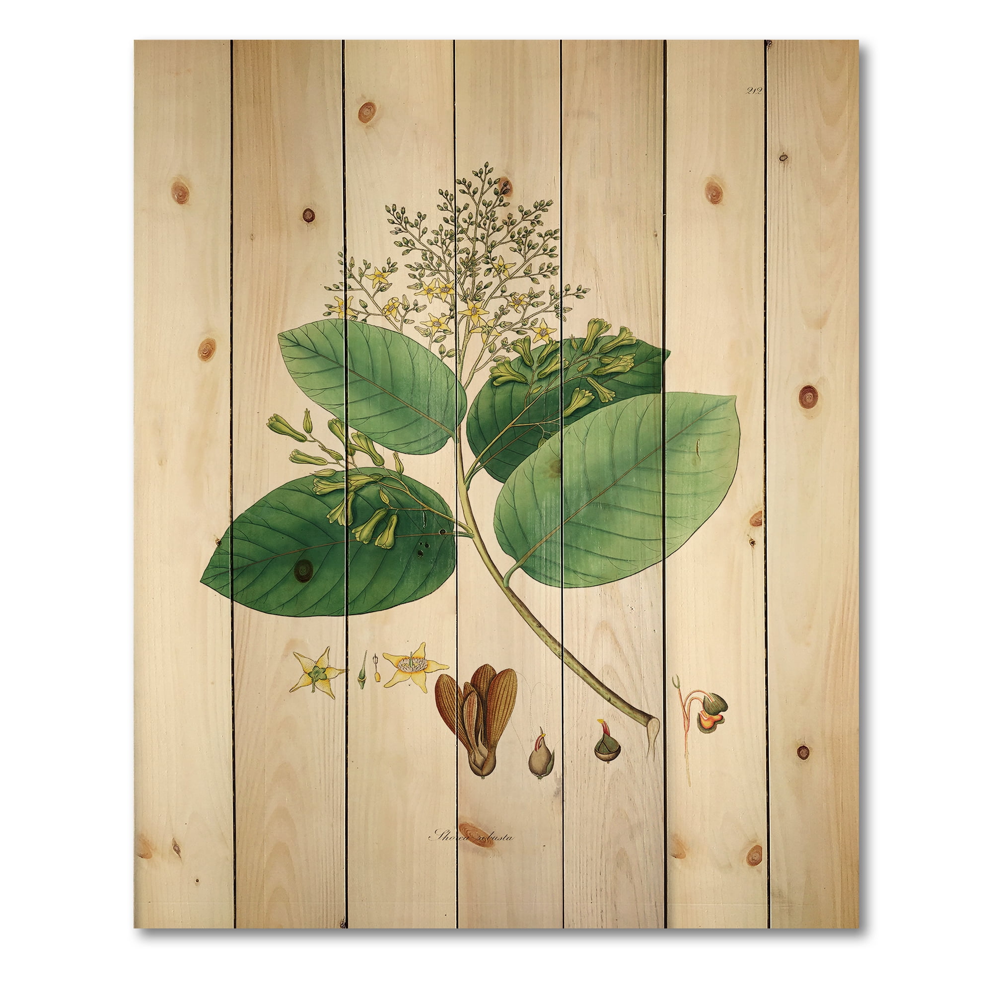 Designart 'Ancient Botanicals III' Farmhouse Print on Natural Pine Wood
