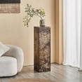 thumbnail image 4 of Metal Iron Skin Ornament Display Base, Vintage Distressed Living Room Flower Table Rack, 4 of 6