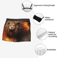 thumbnail image 3 of Pofeuu Cool Fire Lion Print Men’s Boxer Briefs, Moisture-Wicking Underwear, Regular,Trunk-Large, 3 of 5