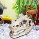 thumbnail image 2 of Acuario Decoración Esqueleto Agujero Resina Dinosaurio Artificial Cráneo Esqueleto, 2 of 9