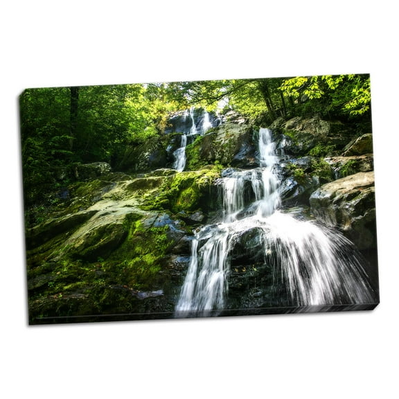 Gango Home Decor Dark Hollow Falls I by Alan Hausenflock (Ready to Hang); One 36x24in Hand-Stretched Canvas