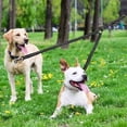 thumbnail image 5 of YeewayVeh Double Dog Leash for 2 Dogs, 360° Tangle-Free Swivel with Shock Absorbing Bungee, Adjustable Dual Dog Walking Leash (25-150 lbs), 5 of 7