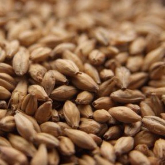 Simpsons Finest Golden Promise Brewing Malt - 1 lb.