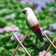 thumbnail image 3 of Guacamayo artificiales, loro de pájaro para decoración de jardín, accesorio Zulema Estatua de loro, 3 of 7