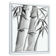 thumbnail image 3 of Designart 'Vintage Black and White Bamboo IV' Traditional Framed Canvas Wall Art Print, 3 of 5