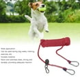 thumbnail image 4 of Pet Training Leash, Flexible Dog Leash  For Exercise For Outdoors Blue,Red,Green, 4 of 8