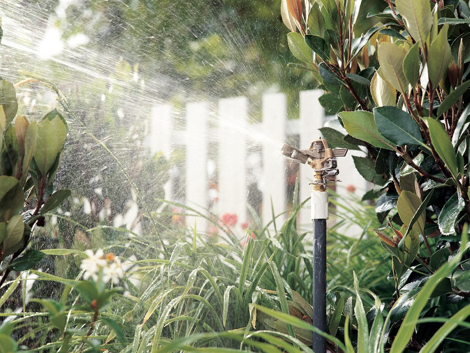 Rain Bird 25PJDAC Brass Impact Sprinkler, Adjustable 20° - 360° Pattern, 20 - 41' Spray Distance