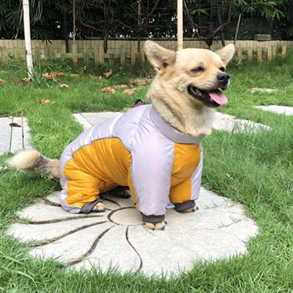 Are Our Dog Clothes Bad