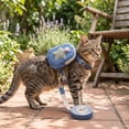 thumbnail image 6 of 2 Pack, Cat Harness and Leash Set Escape Proof, Small Cat Harness Vest with Mini Storage Backpack, Adjustable Walking Accessory for Kitten Puppy Small Pets, Pink Star Design, 1, 6 of 6