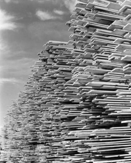 Stacks Of Timber In