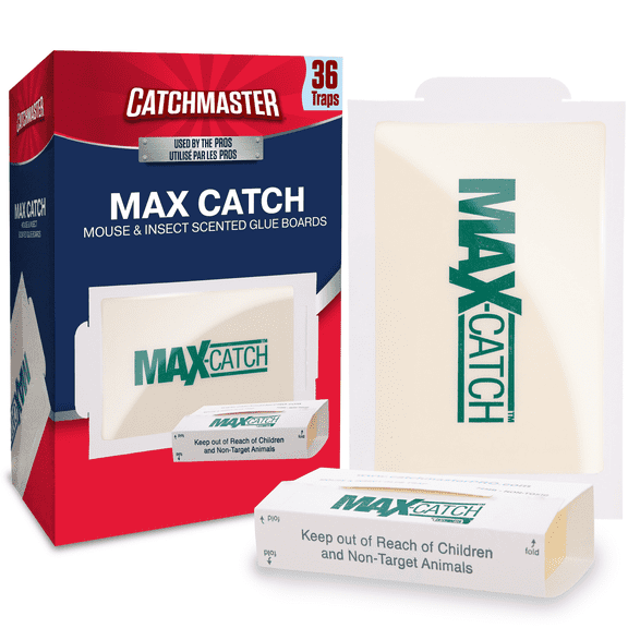 Catchmaster Max-Catch Insect & Mouse Trap 36pk, Classic Sticky Traps, Pest Control Indoor