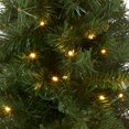 thumbnail image 2 of National Tree 24 Inch Majestic Fir Tree with 35 Battery Operated Warm White LED Lights (MJ3-24BGLO-B1), 2 of 5