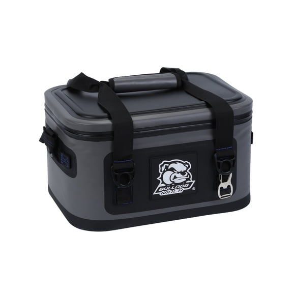 Power Mountain 15 Can Soft Cooler, Gray