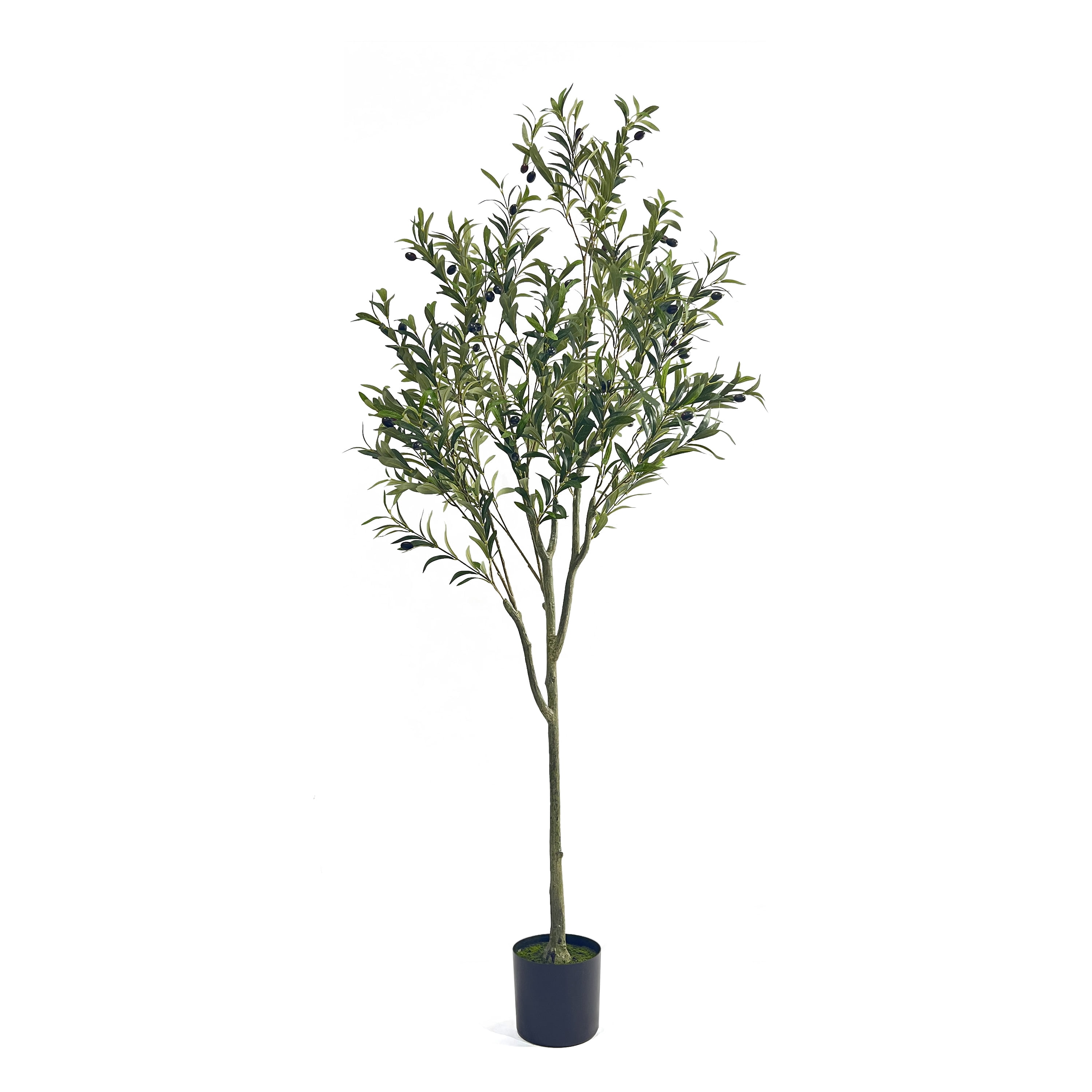 Taos 6' x 2' Artificial Tabletop Olive Tree, Green