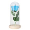 thumbnail image 1 of Rose lámpara de escritorio cadena luz en cubierta cúpula romántica regalo San Valentín (azul oscuro), 1 of 8