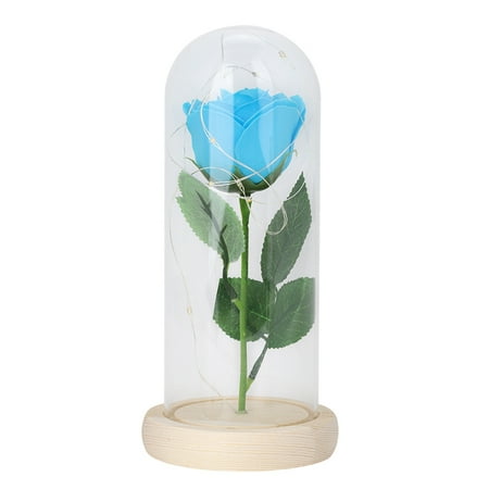 

Zovuta Rose Desk Lamp String Light in Cover Dome Romantic Valentine Gift(Dark Blue)