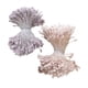 thumbnail image 1 of 720 Piezas de Cabezas Dobles Mixtas DIY Flor de Perla Artificial Estambre Pistilo Estambre para Flores Flor de Papel Banda para El BLESIY estambres, 1 of 8