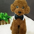 thumbnail image 4 of WIFKLSIIPG Collier Ajustable pour Chien avec Cravate Noire Collier de Mariage Formel pour Petits Moyens Grands Chiens Animaux de Compagnie Collier à Nœud, 4 of 6