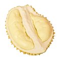 thumbnail image 4 of Fake Fruit Artificial Durian Fruit Durian Decoration for Home Photo Prop, 4 of 7
