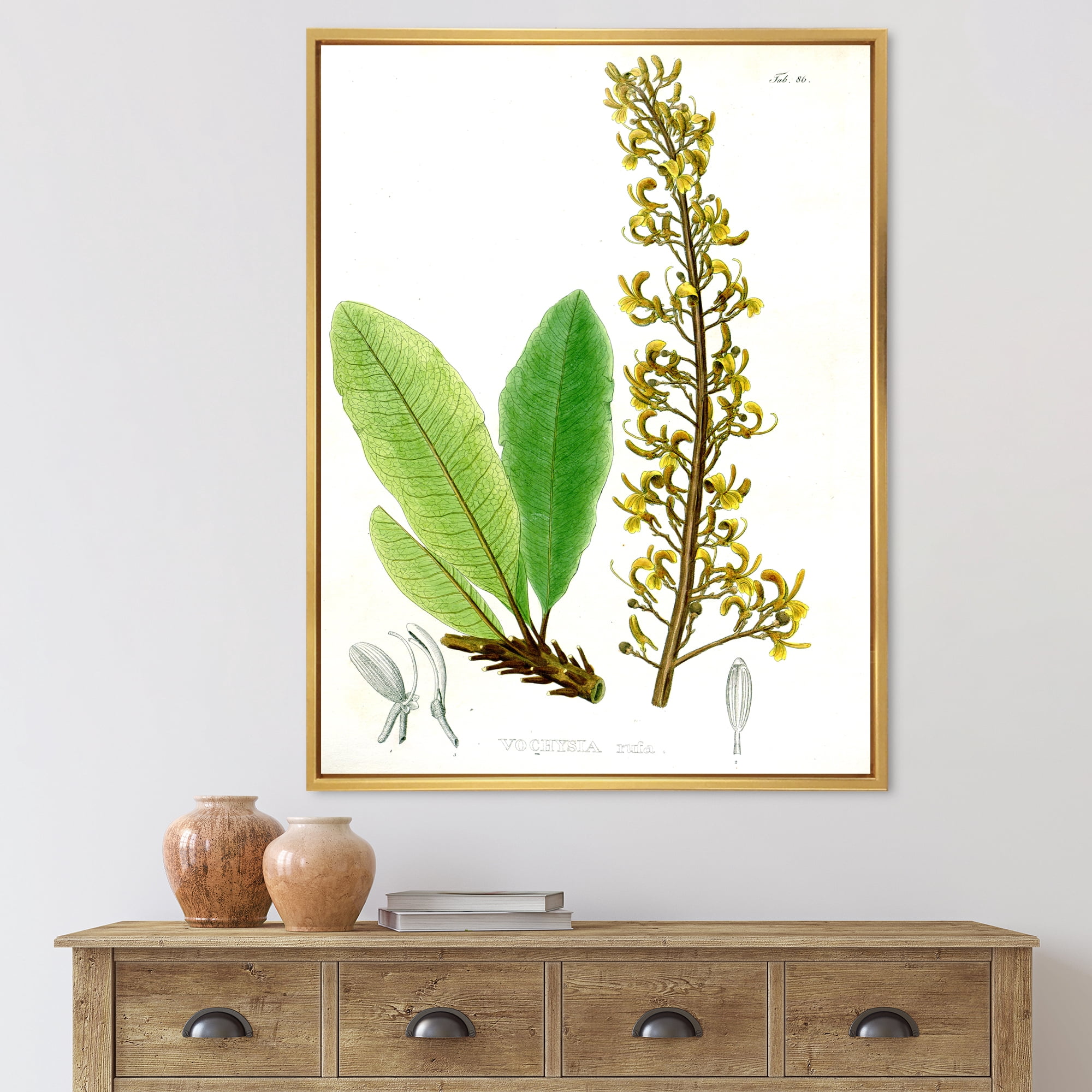 Designart 'Ancient Brazilian Plant IV' Traditional Framed Canvas Wall Art Print