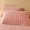 Pink, variant on Thickened Milk Velvet Pillowcase Warm Pillow Cover Hypoallergenic Hotel Quality Bed Pillows for Side, Back and Stomach Sleeper, Size Set of 1 Blue