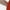 Just Red, variant on No Boundaries Bodycon Maxi Dress with Cap Sleeves, Women's