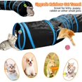 thumbnail image 4 of Kitty Kitty Kitty Kitty Kitty Kitty Kitty Kitty Kitty Kitty Kitty Kitty Kitty Kitty Kitty Kitty Kitty Kitty Kitty Kitty Kitty Kitty Kitty Kitty Kitty Kitty Kitty Kitty Kitty Kit, 4 of 6