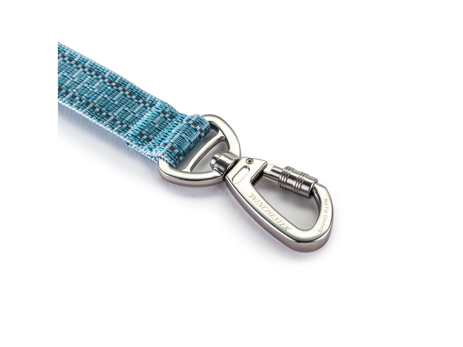 Winchester Pet Deluxe Carabiner Leash 6-Foot, Aqua Haze, 6 foot